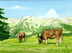 Zwei Kühe