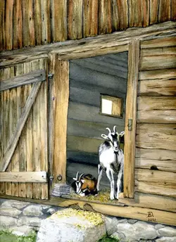klaus_decker_geissen_ a_mooshuette