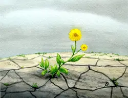 klaus_decker_gelbe_blume_2