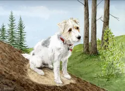 klaus_decker_hund