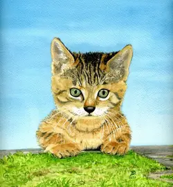 klaus_decker_img129
