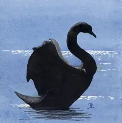 klaus_decker_schwan_klein