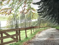 klaus_decker_weg_z_rottachsee