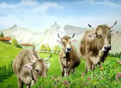 Drei Kühe mit Alpenrosen