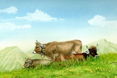 Drei Kühe