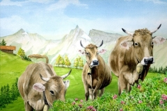 Drei Kühe mit Alpenrosen