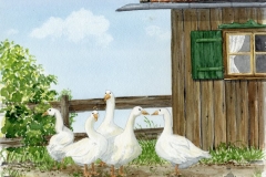 klaus_decker_gaense_vor_stadel