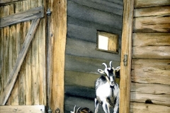 klaus_decker_geissen_ a_mooshuette