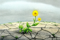 klaus_decker_gelbe_blume_2