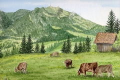 klaus_decker_kuehe_vor_gruenten