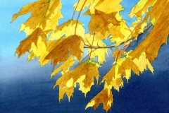 klaus_decker_leuchtende_blaetter