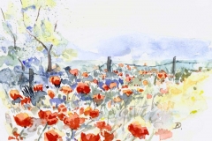 klaus_decker_mohnblumenwiese