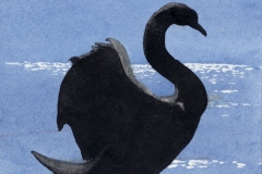 klaus_decker_schwan_klein