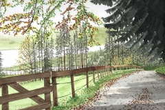 klaus_decker_weg_z_rottachsee